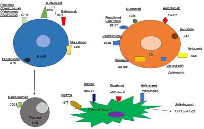 What's New in the Treatment of Systemic Lupus Erythematosus